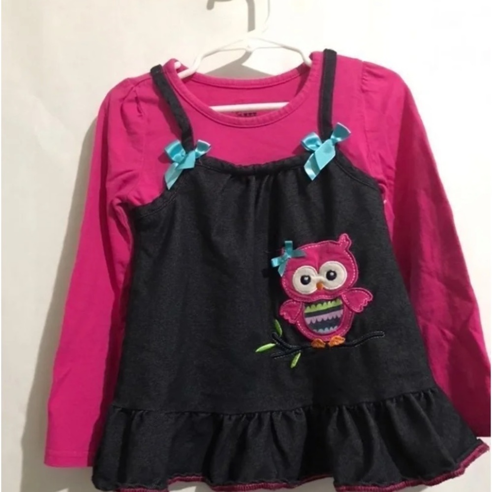 Nanette Girls Cute Owl Shirt Fall Winter Size 5 Pink Blue Long sleeve Ruffled